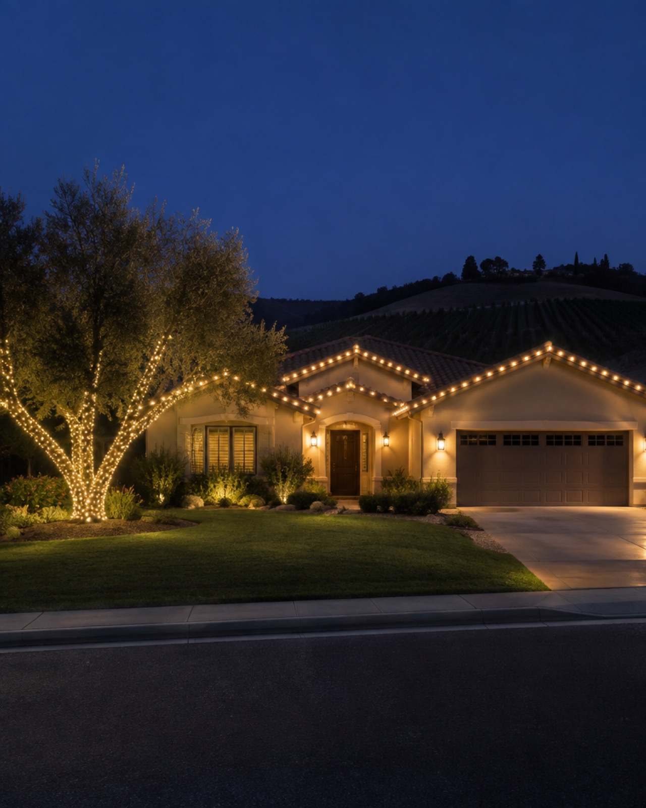 Single-story Temecula ranch home at night with warm-white C9 roofline lights and a wrapped olive tree out front